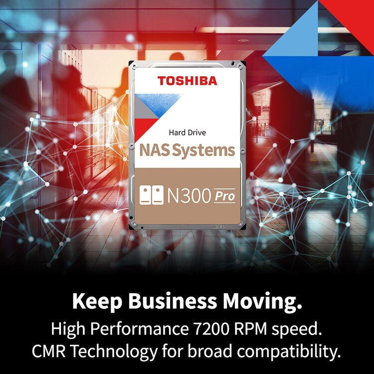 Toshiba (256MB-7200RPM) - 22TB